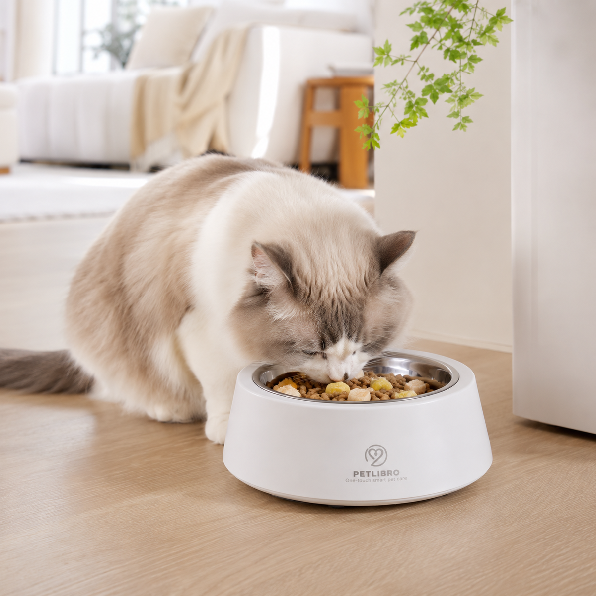 Smart Digital Weighing Pet Bowl.
